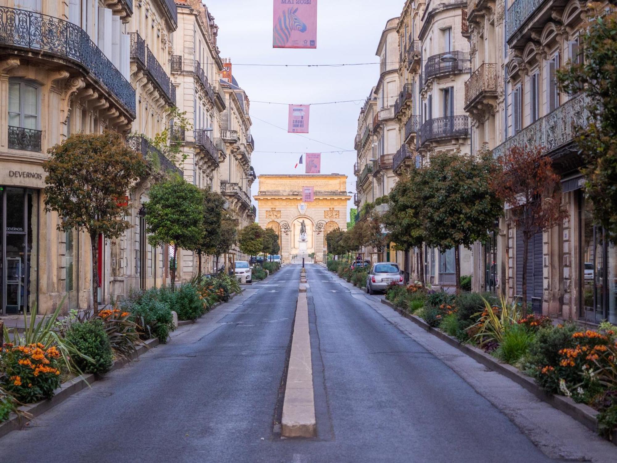Le Platane De La Canourgue 蒙彼利埃 外观 照片