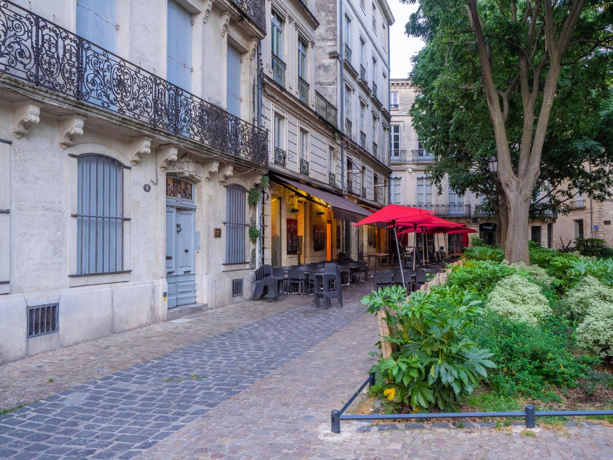 Le Platane De La Canourgue 蒙彼利埃 外观 照片