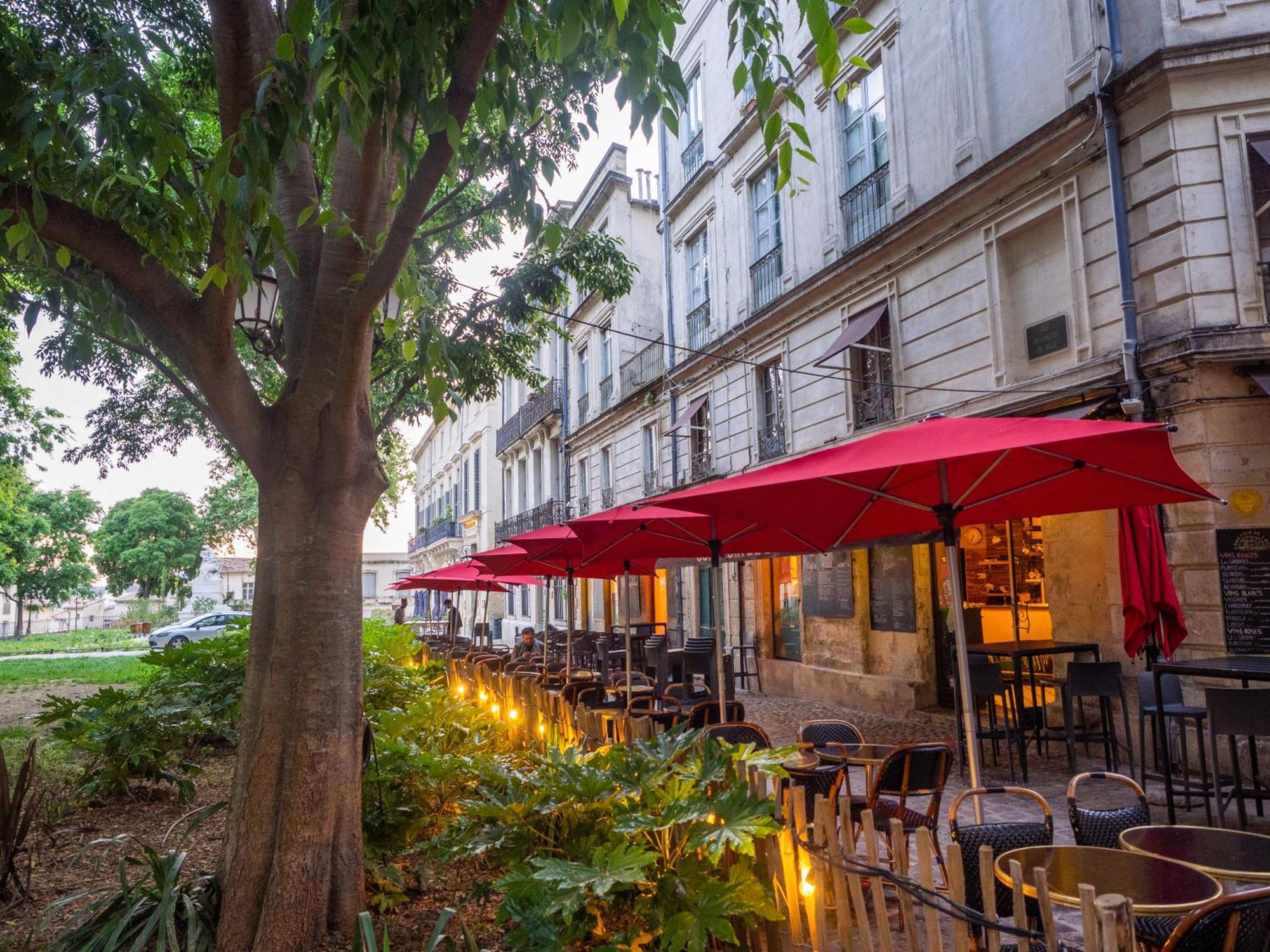 Le Platane De La Canourgue 蒙彼利埃 外观 照片