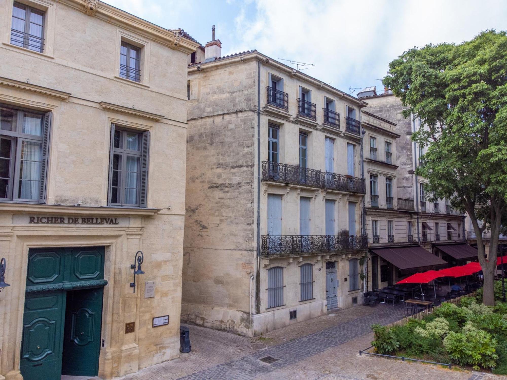 Le Platane De La Canourgue 蒙彼利埃 外观 照片